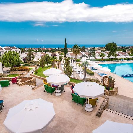 The Olive Tree Hotel Agios Epiktitos Экстерьер фото
