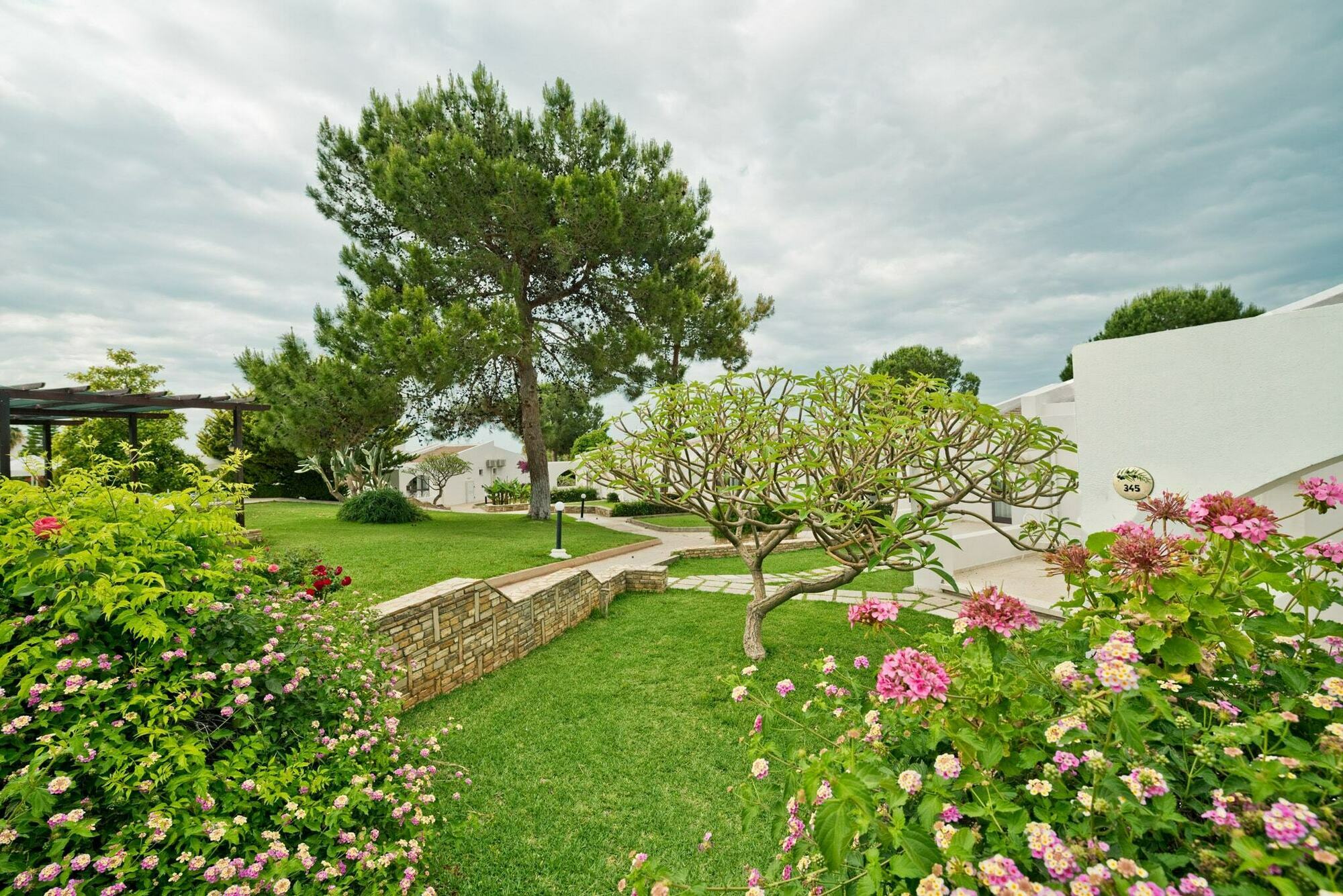 The Olive Tree Hotel Agios Epiktitos Экстерьер фото