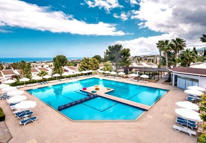 The Olive Tree Hotel Agios Epiktitos Экстерьер фото