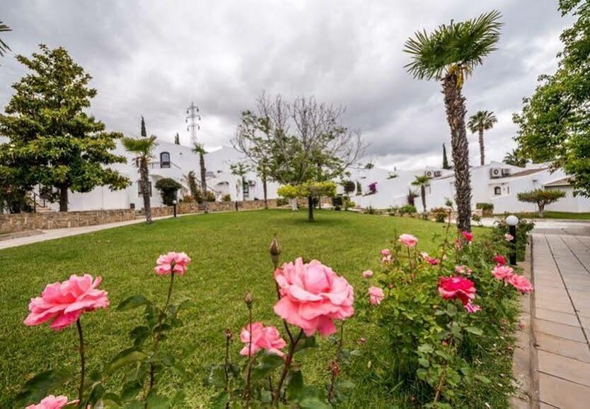 The Olive Tree Hotel Agios Epiktitos Экстерьер фото