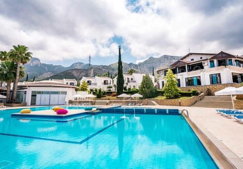The Olive Tree Hotel Agios Epiktitos Экстерьер фото