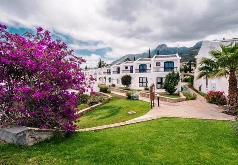 The Olive Tree Hotel Agios Epiktitos Экстерьер фото
