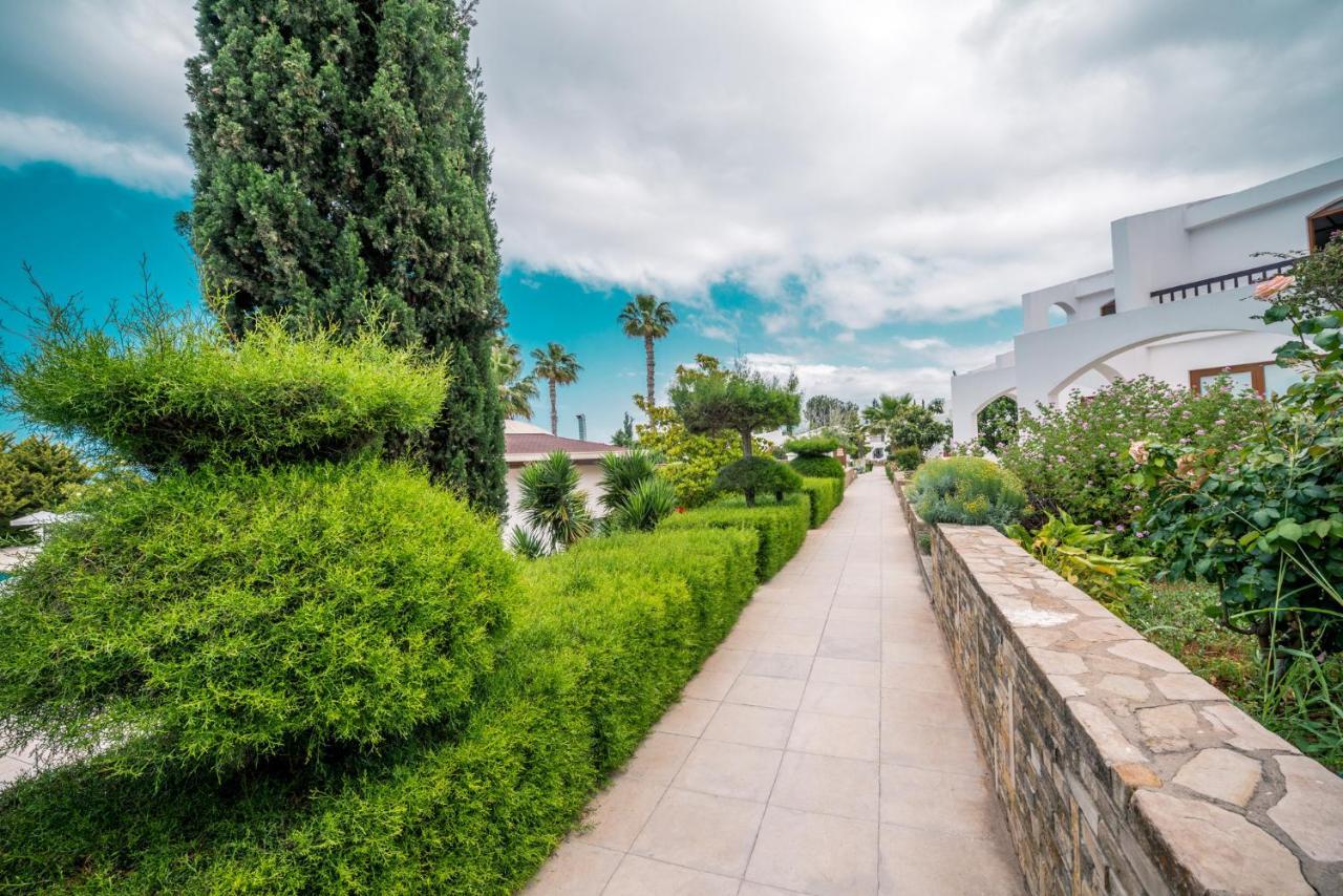 The Olive Tree Hotel Agios Epiktitos Экстерьер фото