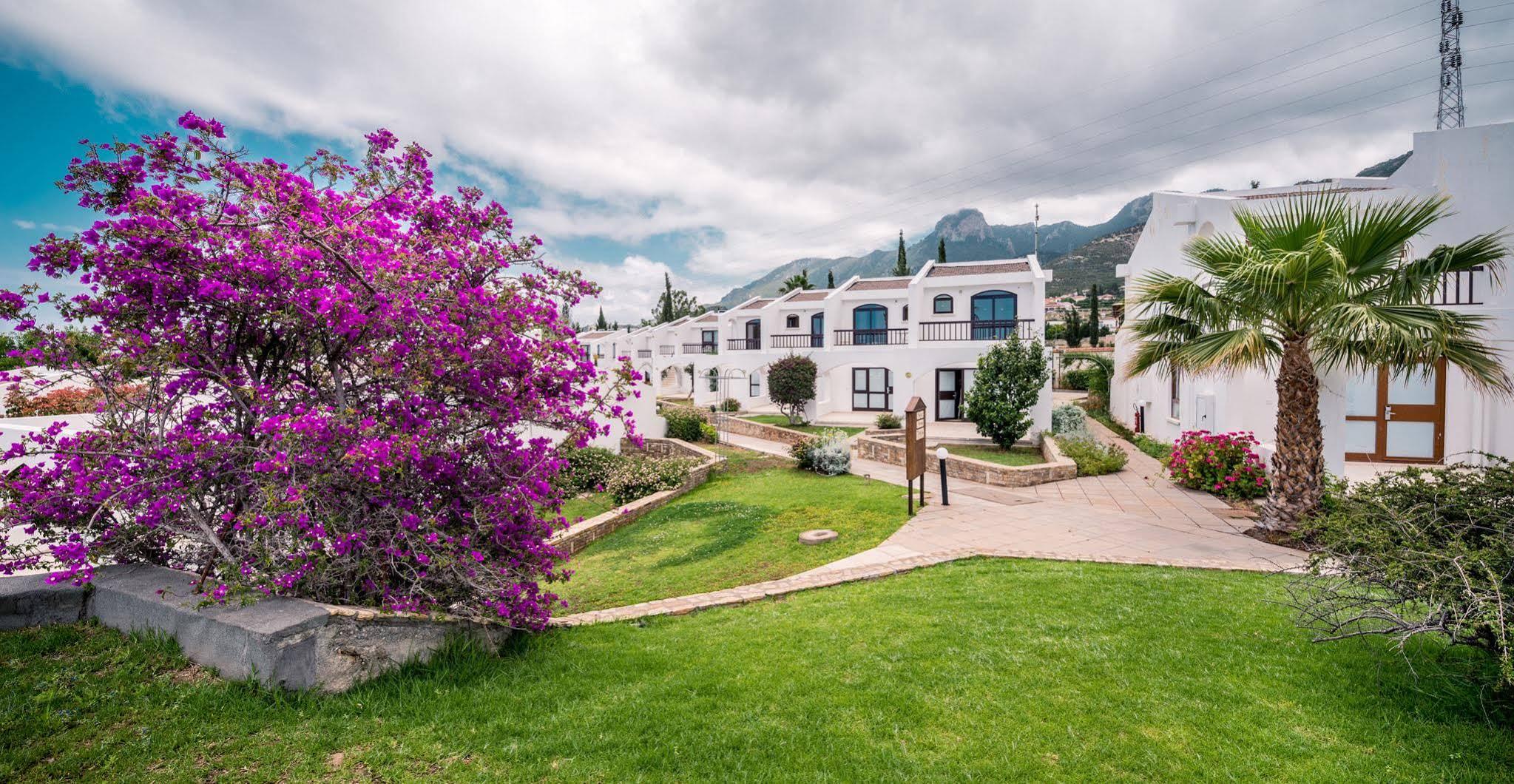 The Olive Tree Hotel Agios Epiktitos Экстерьер фото