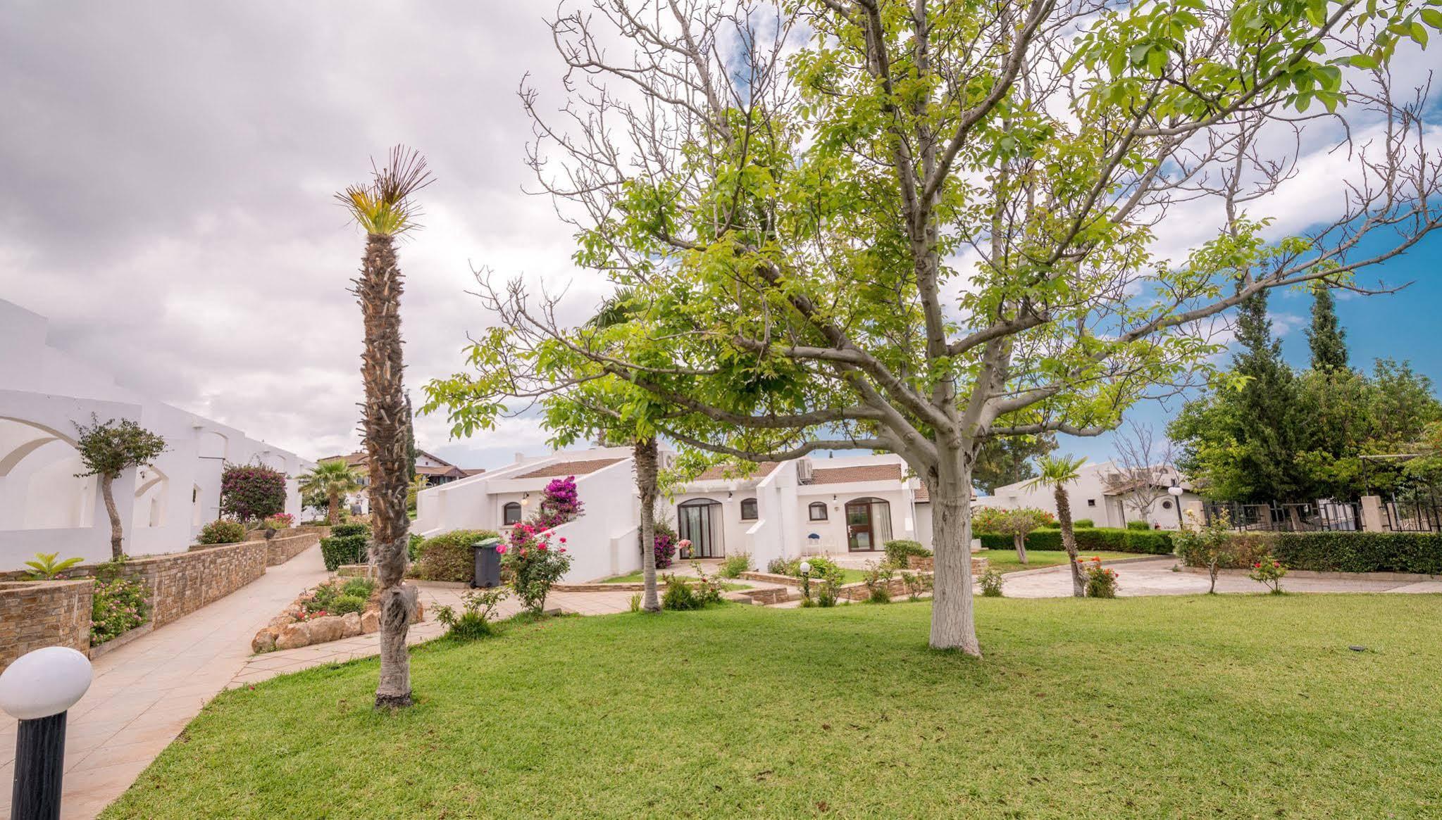 The Olive Tree Hotel Agios Epiktitos Экстерьер фото